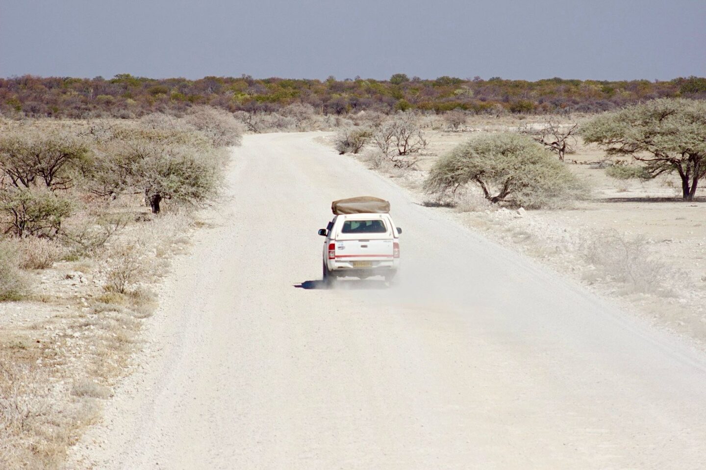 Self drive safari in Etosha National Park, Namibia